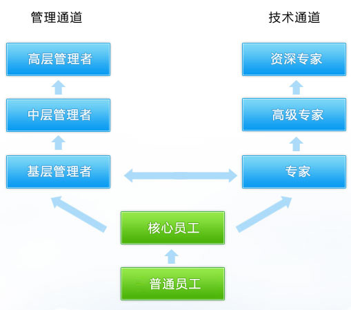 成长计划